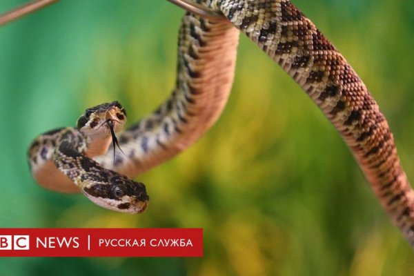 Kraken ссылка зеркало krakentor site