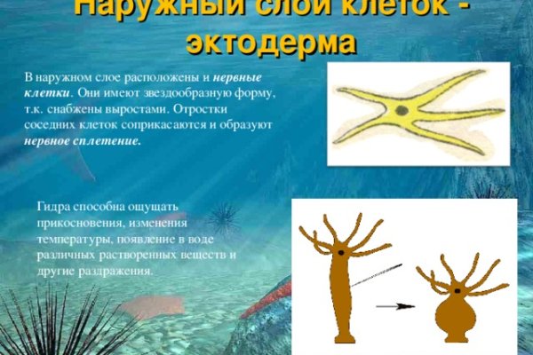 Кракен ссылка 2web krakendark link